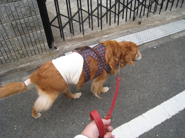 ファイル 687-1.jpg