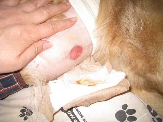 ファイル 687-2.jpg