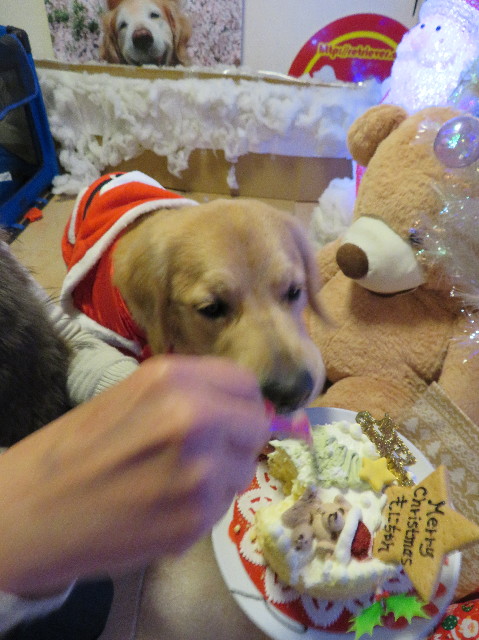 ファイル 6871-1.jpg