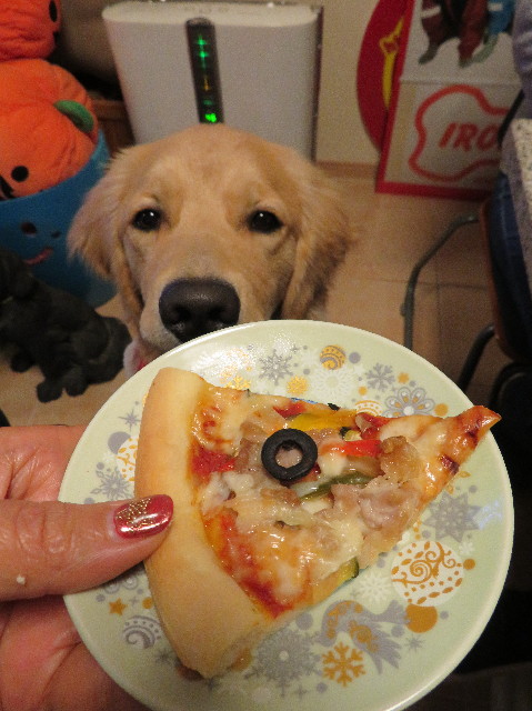 ファイル 6871-4.jpg