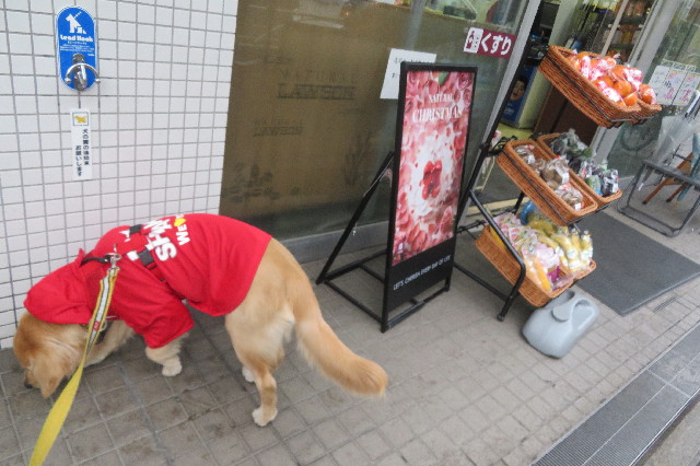 ファイル 6872-1.jpg