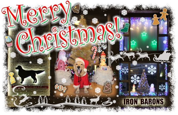 ファイル 6874-1.jpg