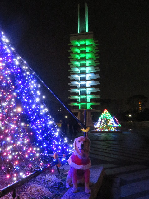 ファイル 6875-2.jpg