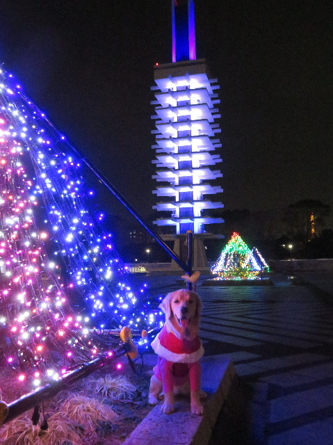 ファイル 6875-3.jpg