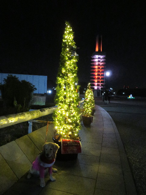 ファイル 6875-4.jpg