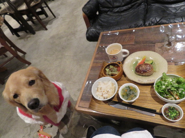 ファイル 6875-5.jpg