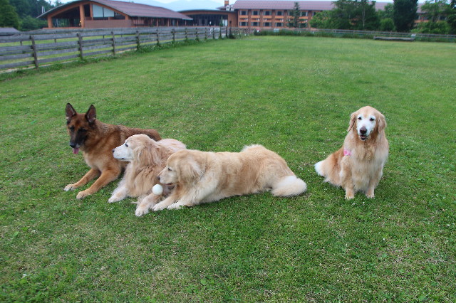 ファイル 6876-4.jpg