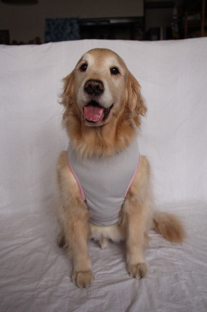 ファイル 6876-5.jpg