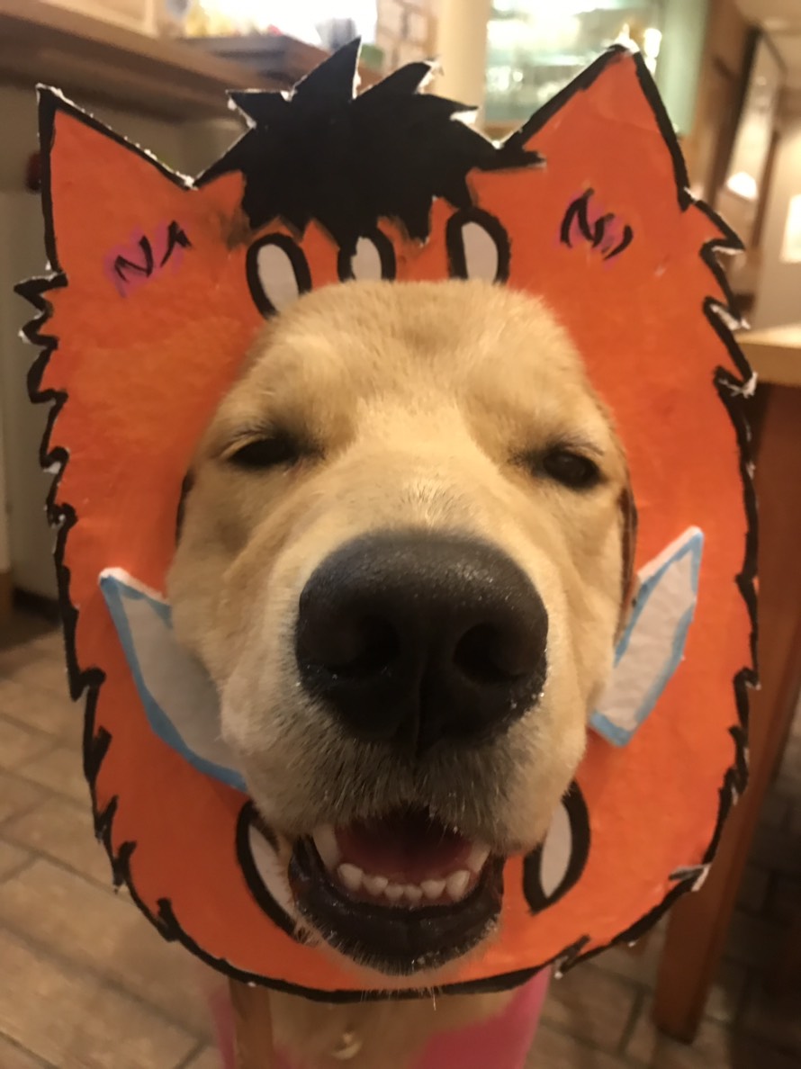 ファイル 6877-2.jpg