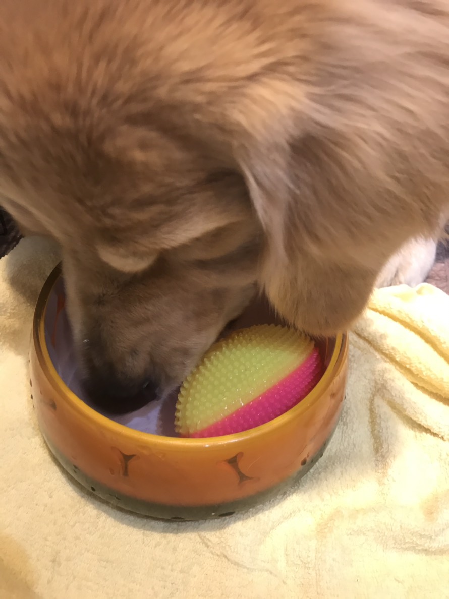 ファイル 6877-3.jpg