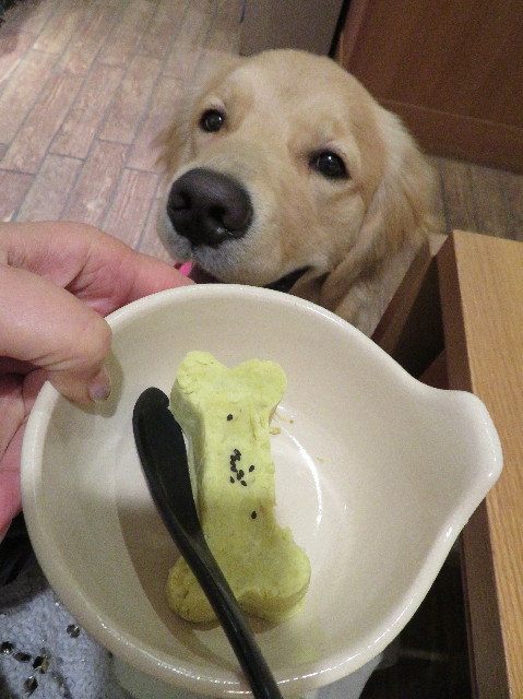 ファイル 6877-5.jpg