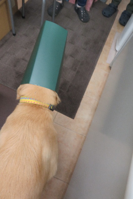 ファイル 6878-4.jpg