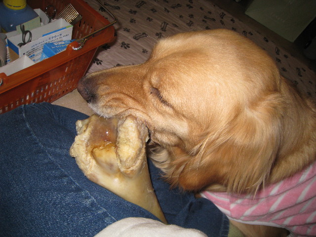 ファイル 688-1.jpg