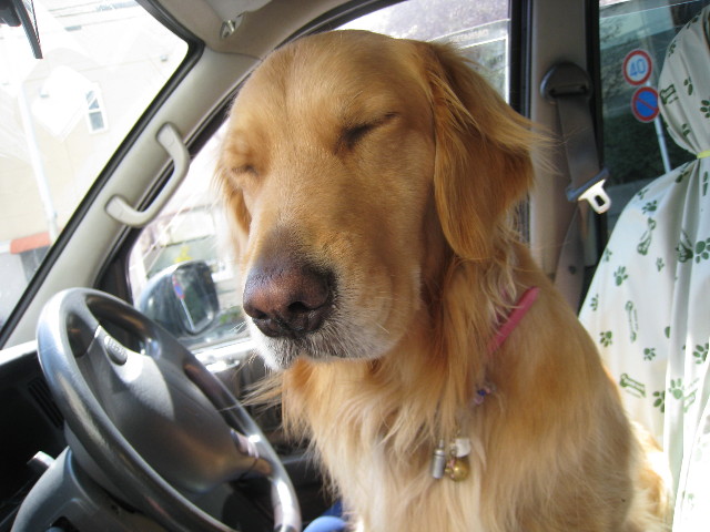 ファイル 688-2.jpg