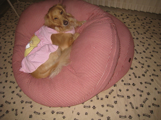 ファイル 688-3.jpg