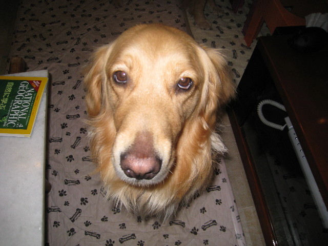 ファイル 688-4.jpg