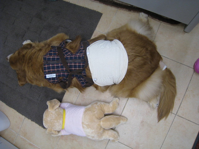 ファイル 688-5.jpg