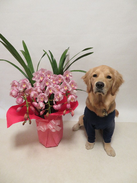 ファイル 6880-2.jpg