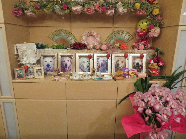 ファイル 6880-3.jpg