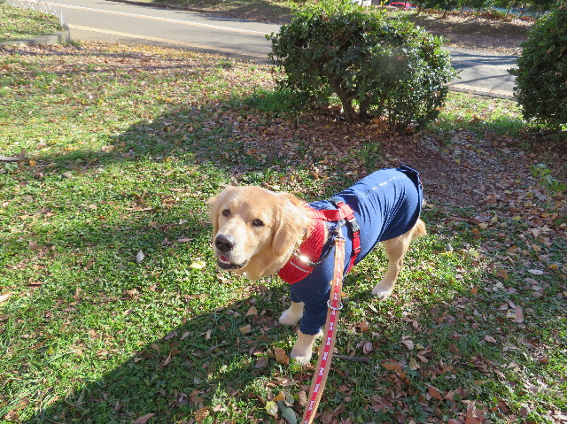 ファイル 6880-4.jpg