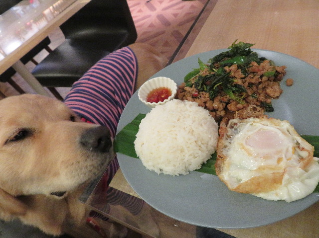 ファイル 6881-4.jpg