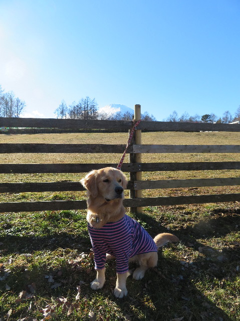 ファイル 6882-3.jpg