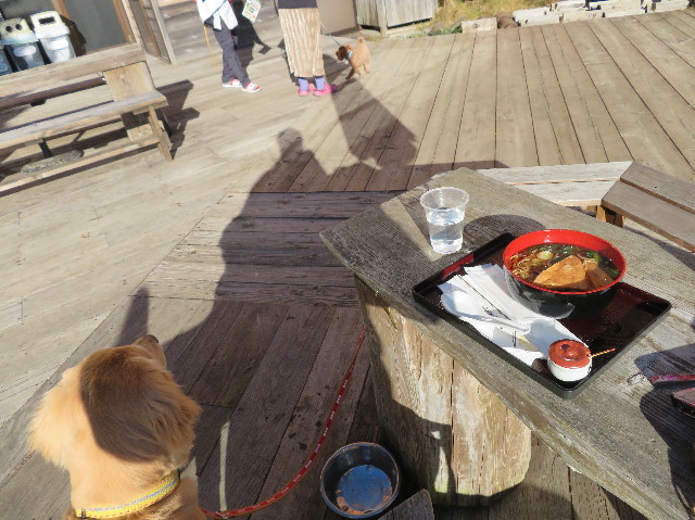 ファイル 6883-1.jpg