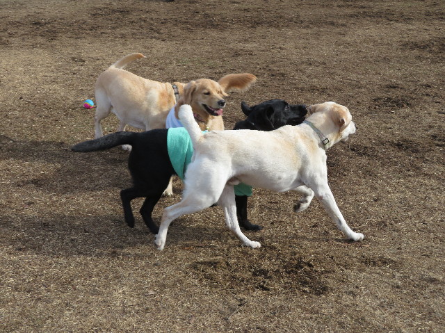 ファイル 6884-2.jpg