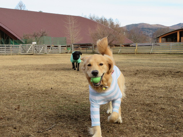 ファイル 6884-3.jpg