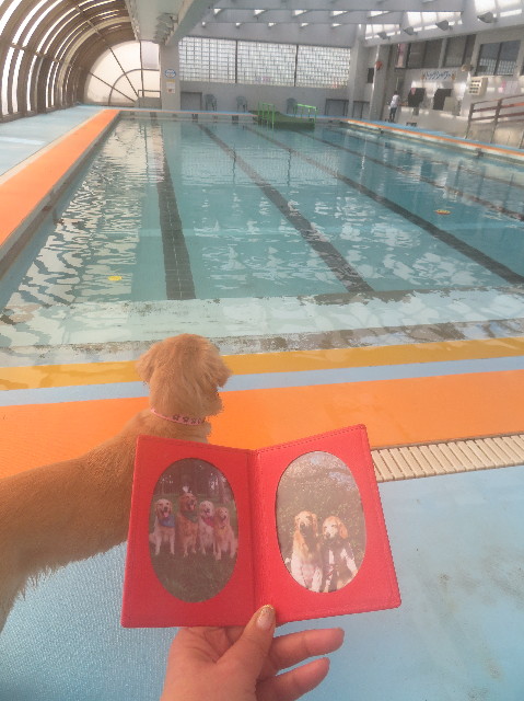 ファイル 6885-1.jpg