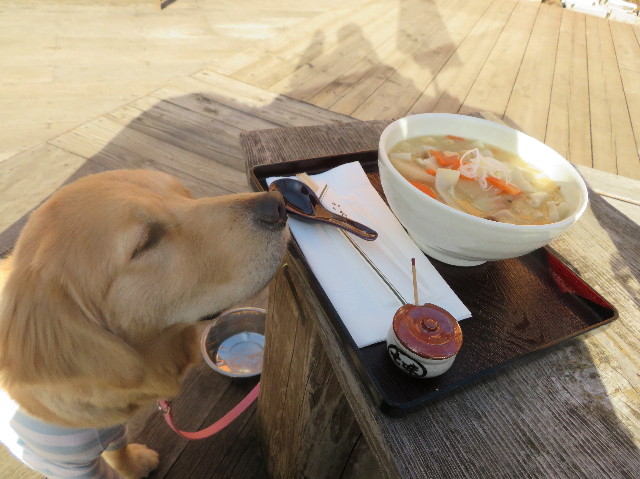 ファイル 6886-2.jpg