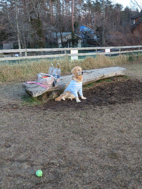 ファイル 6886-4.jpg