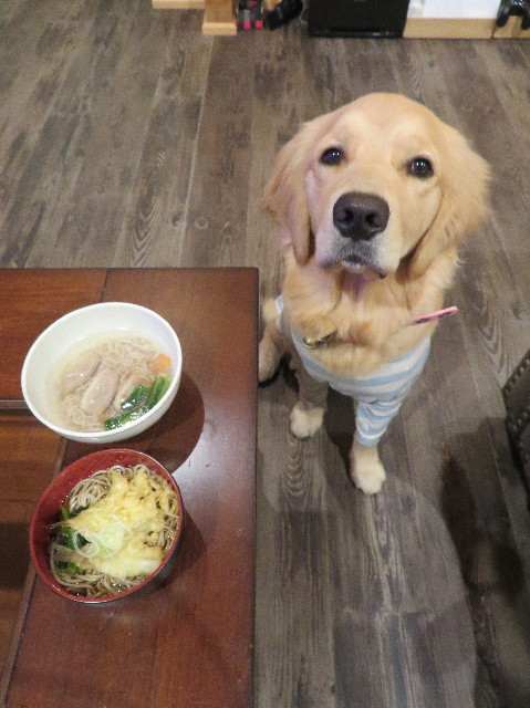 ファイル 6886-5.jpg