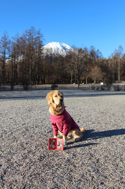 ファイル 6887-5.jpg