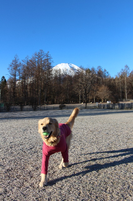 ファイル 6888-2.jpg