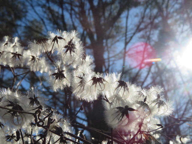 ファイル 6889-4.jpg