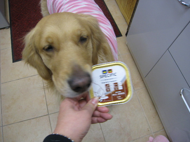 ファイル 689-2.jpg