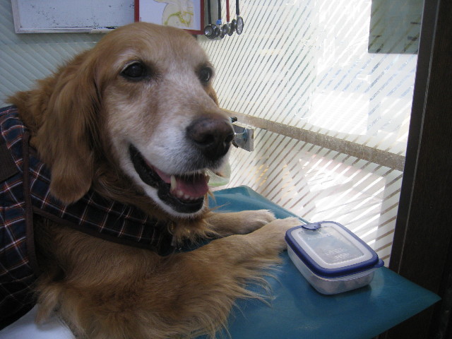 ファイル 689-3.jpg