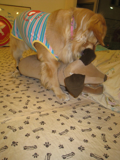 ファイル 689-5.jpg