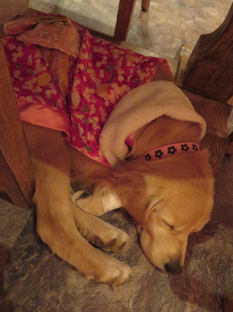 ファイル 6890-5.jpg