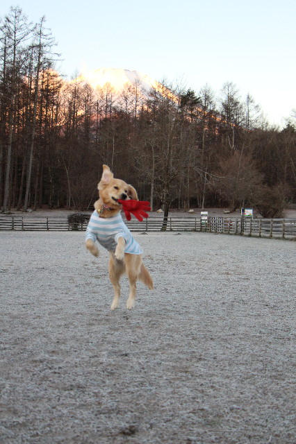 ファイル 6891-5.jpg