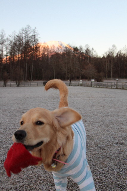 ファイル 6892-1.jpg