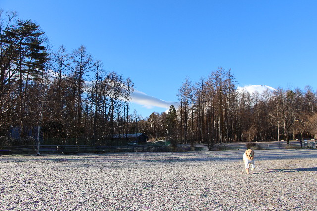 ファイル 6892-2.jpg