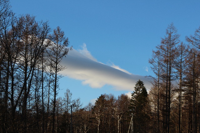 ファイル 6892-3.jpg