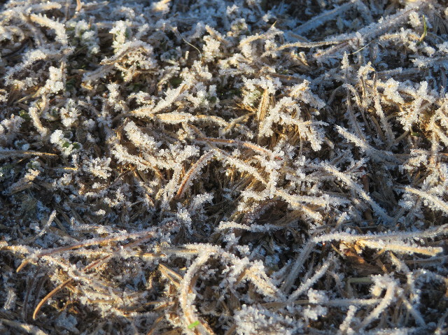 ファイル 6892-5.jpg