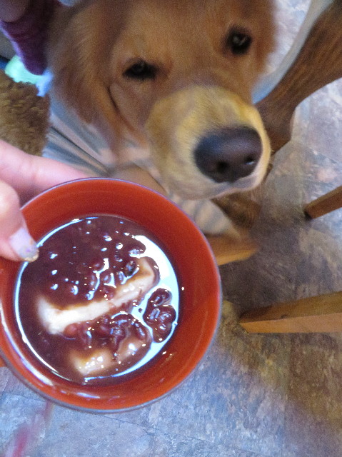 ファイル 6893-1.jpg