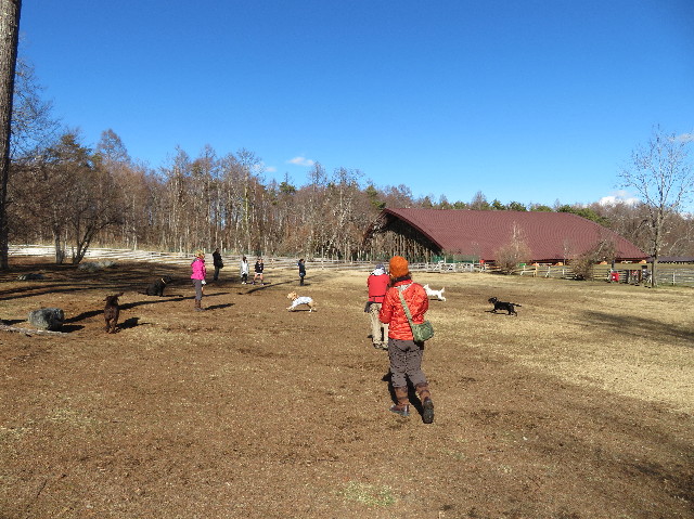 ファイル 6893-2.jpg