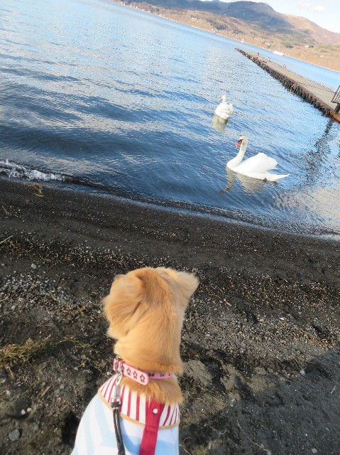 ファイル 6894-1.jpg