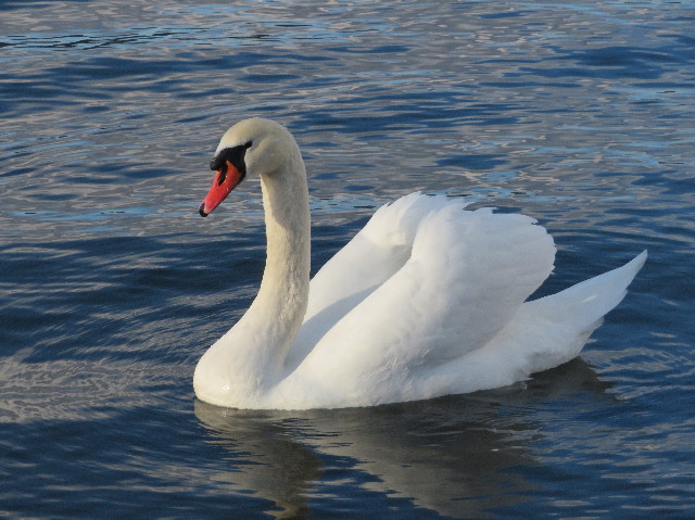 ファイル 6894-2.jpg