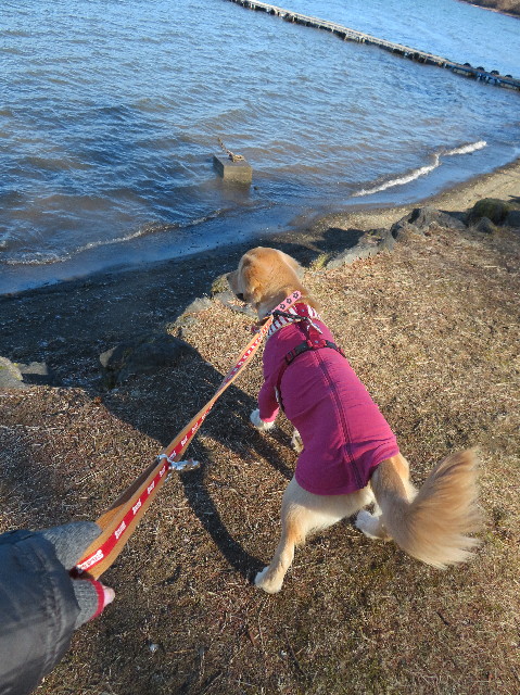 ファイル 6895-4.jpg